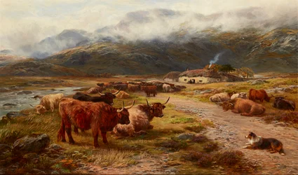 Highland Drove Rast, Argyllshire