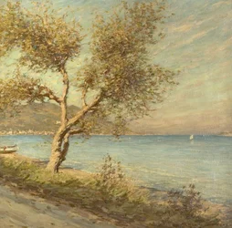 Der Maulbeerbaum