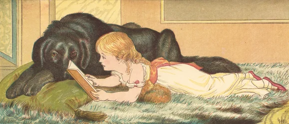 Die Prinzessin und ihr Wächter
