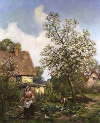 Hühner füttern