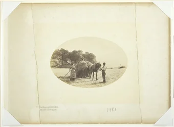 An den Hängen von Cader-Idris, Die letzte Heuladung, 1883