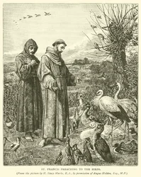 St. Franziskus predigt den Vögeln