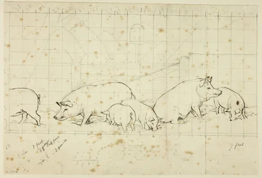 Schweine