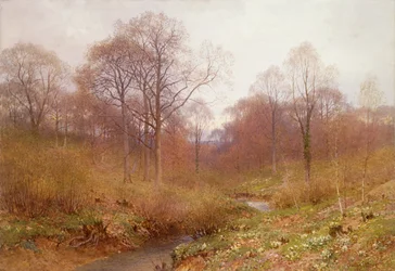 Eine bewaldete Flusslandschaft im Herbst