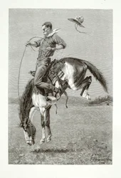 Ein bockendes Bronco