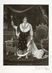 Napoleon als Kaiser