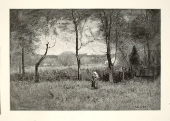 Holzsammler