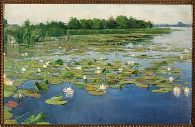 Seerosen