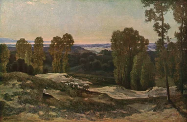 Eine Weide in den Dünen, Pas de Calais, Frankreich, 1908, ca. 1930