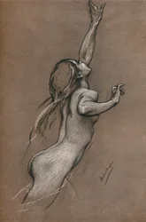 Fliegender Fisch Studie, um 1910