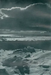 Abendszene im Park, um 1910-1913, 1913