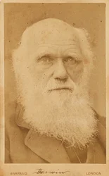 Porträt von Charles Darwin 1809-1882