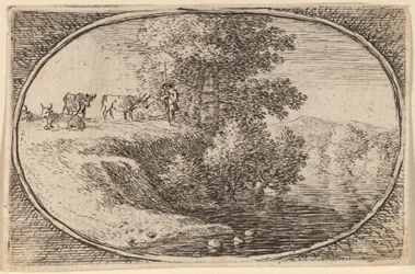 Kuhherde auf einem Felsen links vom Wasser