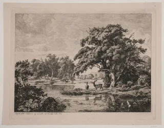 Partie im Hellebæk-Wald