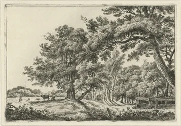 Landschaft mit zwei Kühen im Schatten