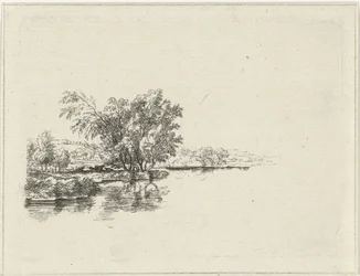 Wasserpartie mit Kühen unter den Bäumen am Ufer