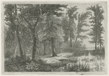 Waldlandschaft mit einem Teich und Enten