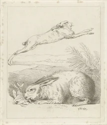 Hase und Kaninchen