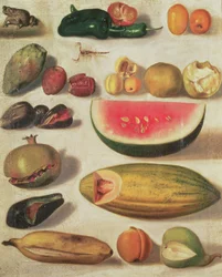 Stillleben mit Früchten und Kröte