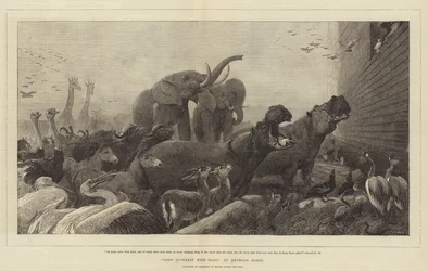 Gottes Bund mit Noah