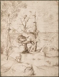 Der Baum-Mann