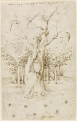 Der Wald hat Ohren, das Feld hat Augen von Bosch, Hieronymus (ca. 1450-1516). Feder, braune indische Tinte auf Papier, Größe: 20,2x12,7, ca. 1500-1515, Staatliche Museen, Berlin