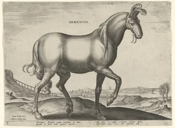 Pferd aus Armenien