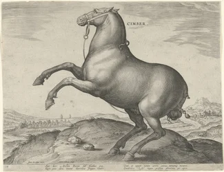 Pferd aus Skythien