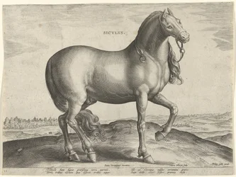 Pferd aus Sizilien