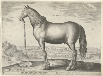 Pferd aus Thessalien