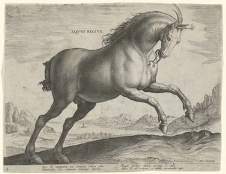 Pferd der Rasse Equus Regius (der Königliche)