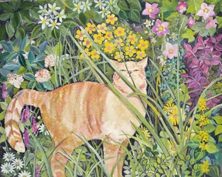 Katze und hohes Gras, 1996