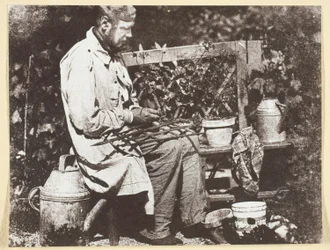 Bayard Jardinier
