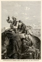 Passepartouts unruhige Fahrt auf dem Rücken des Elefanten, aus In 80 Tagen um die Welt von Jules Verne, graviert von Adolphe François Pannemaker, 1873
