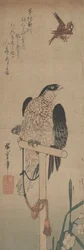 Falke auf der Stange, Spatz und Narzisse