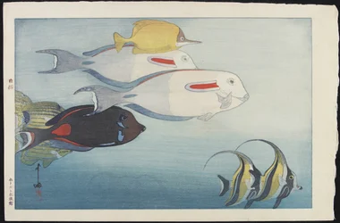 Das Honolulu Aquarium