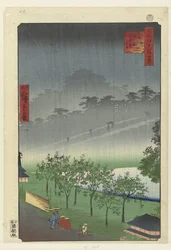 Abendregen in der Paulownia-Schlucht in Akasaka