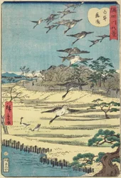 Heimkehrende Gänse in Shirahige, November 1861