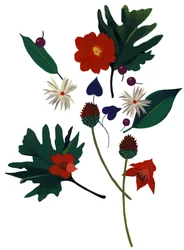 Eine Blume, die dich an Weihnachten denken lässt