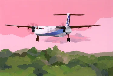 Flugzeuglandung auf einem kleinen Flugplatz
