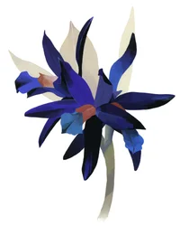 Eine imaginäre Blume mit blauem Grund