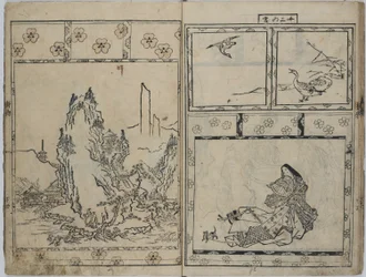 Die immergrüne Kiefer