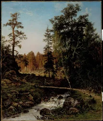 Eine Waldlandschaft aus Hauho