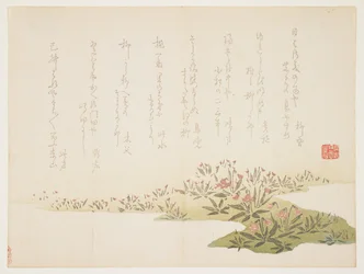 Veilchen, ca. 1848-53