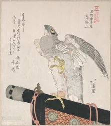 Falke aus Seide; Spezialitäten von Karakiya in Kokucho