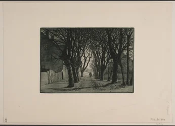 Allee