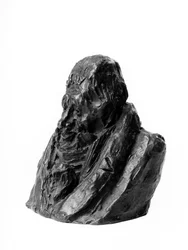 Die Büsten der Celebrites du Juste Milieu. Karikatur von Pierre Paul Royer-Collard