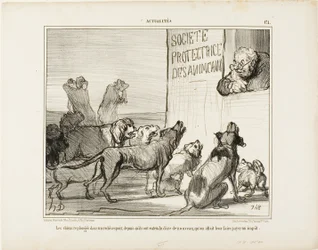 Die Hunde fallen wieder in Verzweiflung, nachdem sie gehört haben, dass es doch eine neue Hundesteuer geben wird, Platte 171 aus Actualités