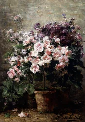 Blumenkomposition