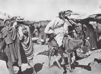 Afrika: Obstmarkt in Omdurman